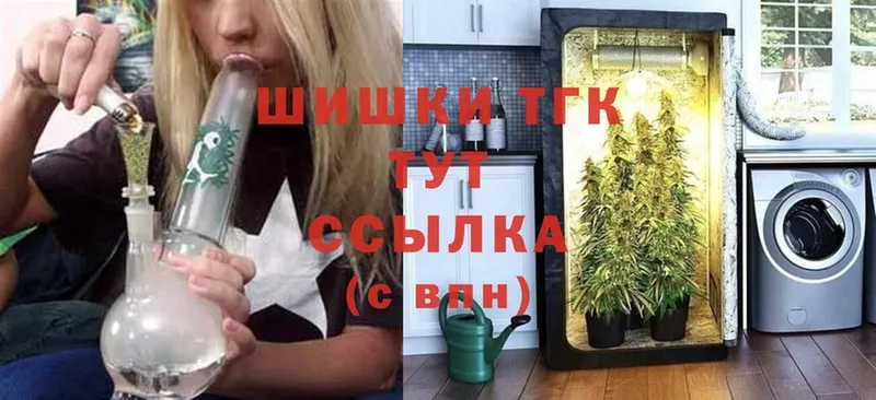 Бошки марихуана THC 21%  Полысаево 